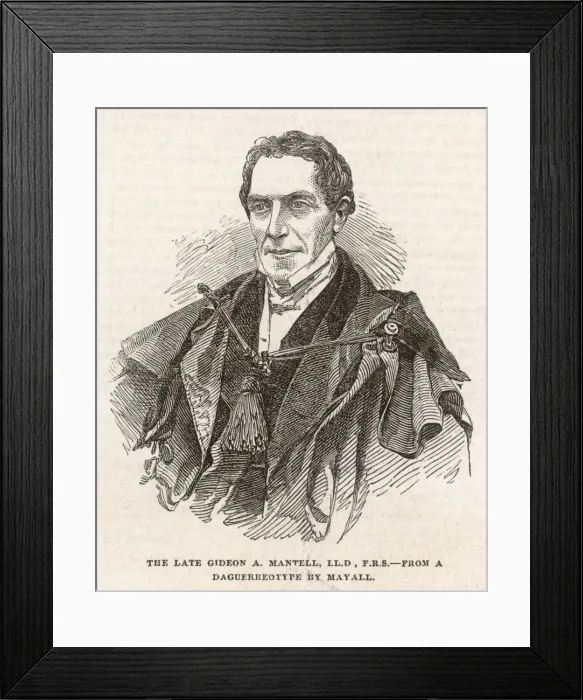 Framed Print : Gideon Mantell Framed Print : Gideon Mantell