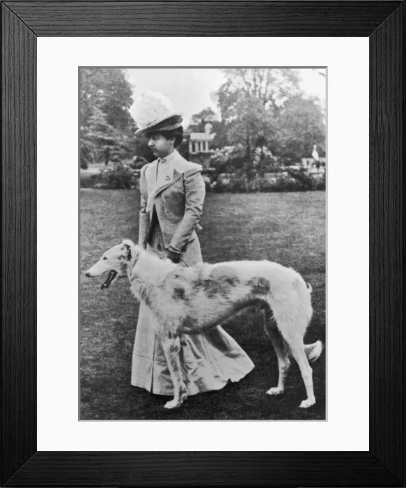 Framed Print : Duchess Newcastle Dog 1 Framed Print : Duchess Newcastle Dog 1