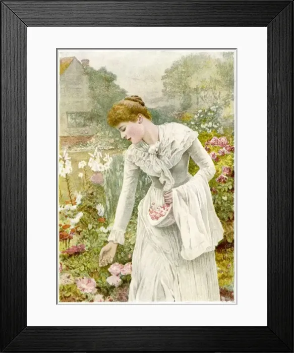 Framed Print : Picking Flowers 1894 Framed Print : Picking Flowers 1894