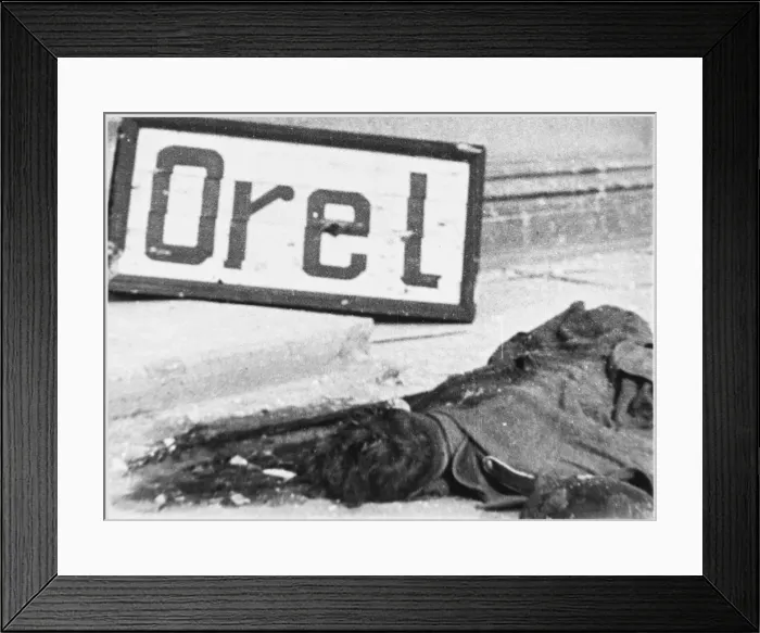 Framed Print : Orel Liberated Framed Print : Orel Liberated