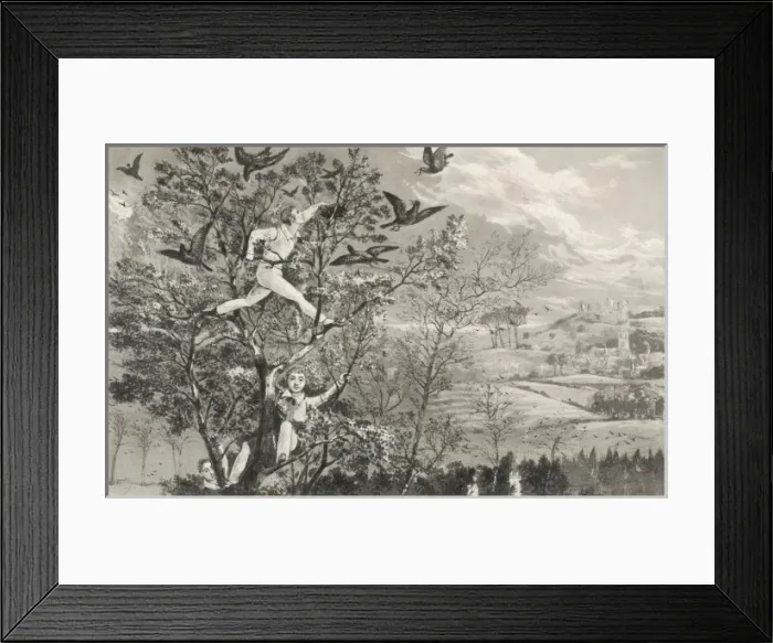 Framed Print : Stealing Birds Eggs Framed Print : Stealing Birds Eggs