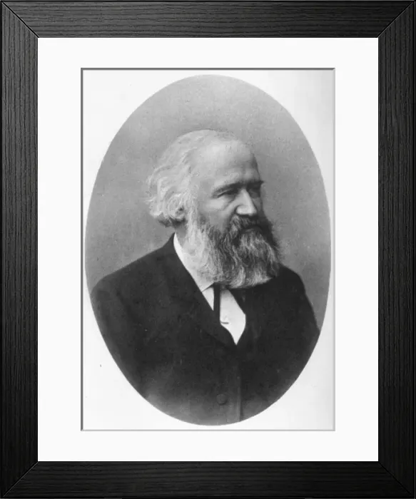 Framed Print : AKSAKOF. ALEXANDER AKSAKOF (variously spelt) Framed Print : AKSAKOF. ALEXANDER AKSAKOF (variously spelt)
