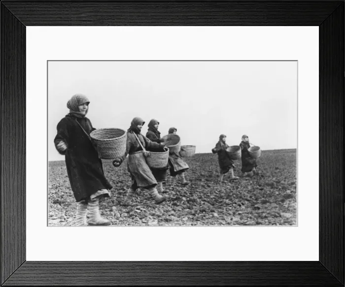 Framed Print : Farming in Russia Framed Print : Farming in Russia
