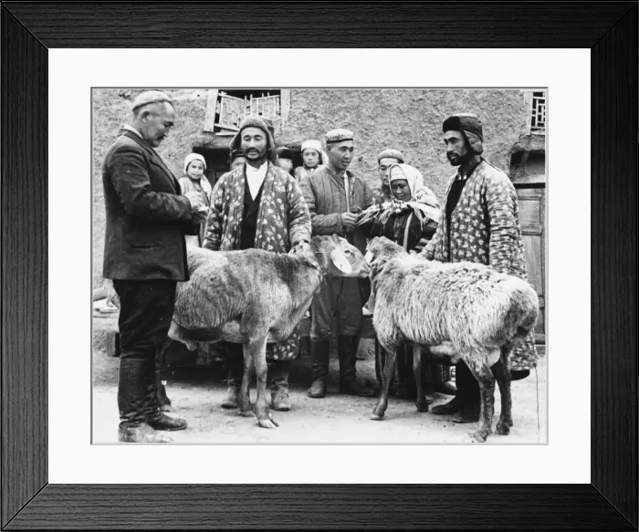 Framed Print : Livestock for Ukraine Framed Print : Livestock for Ukraine