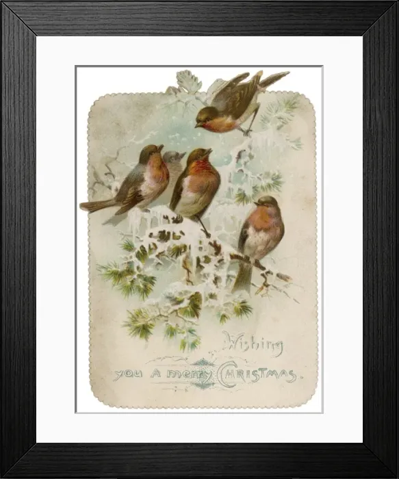 Framed Print : Robins on a Branch Framed Print : Robins on a Branch