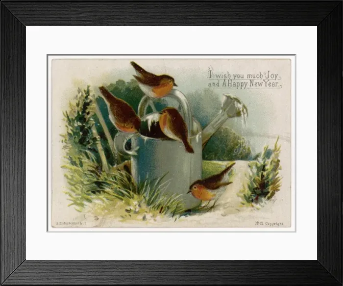 Framed Print : Robins & Watering Can Framed Print : Robins & Watering Can