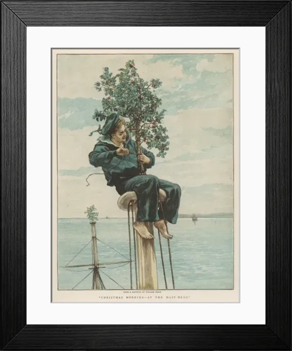 Framed Print : Holly at the Masthead Framed Print : Holly at the Masthead