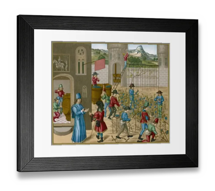 Framed Print : Cultivating Wine Framed Print : Cultivating Wine