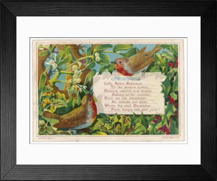 Framed Print : Robins and Holly Framed Print : Robins and Holly
