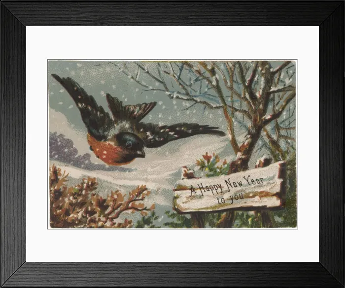 Framed Print : Robin Flying in Snow Framed Print : Robin Flying in Snow