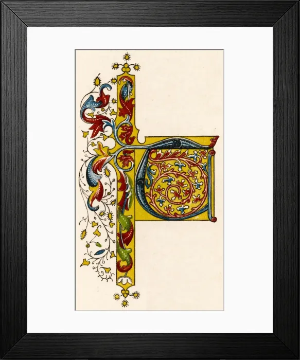 Framed Print : Alphabet Letters / Shaw / T Framed Print : Alphabet Letters / Shaw / T