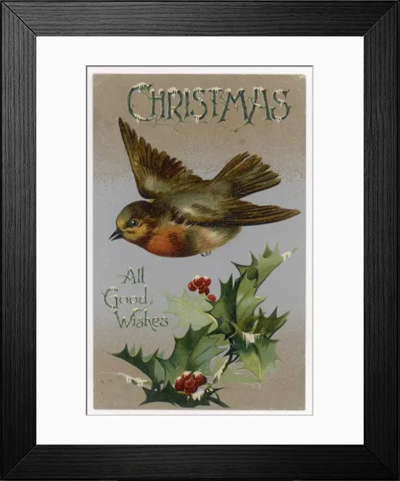Framed Print : Robin and Holly Framed Print : Robin and Holly