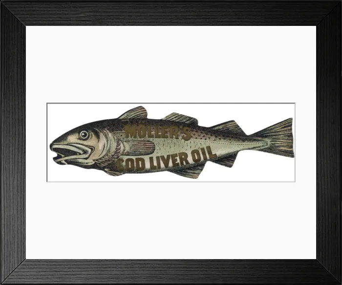 Framed Print : Advert / Cod Liver Oil Framed Print : Advert / Cod Liver Oil
