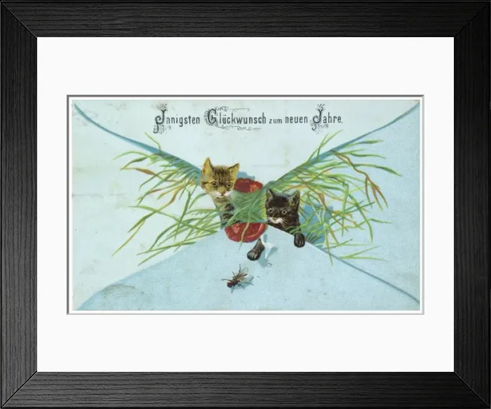 Framed Print : Card; Kittens Framed Print : Card; Kittens