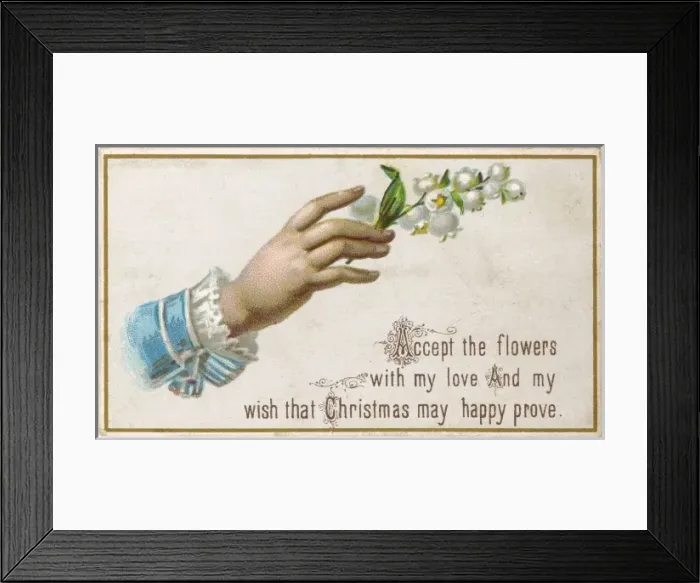 Framed Print : Convallaria Majalis Framed Print : Convallaria Majalis