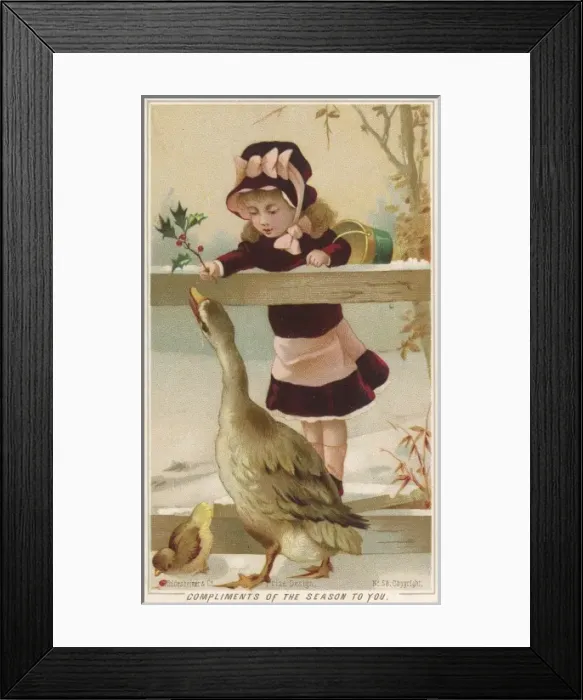 Framed Print : Admiring the Goose Framed Print : Admiring the Goose