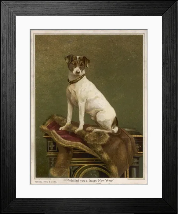 Framed Print : Tabled Terrier Framed Print : Tabled Terrier