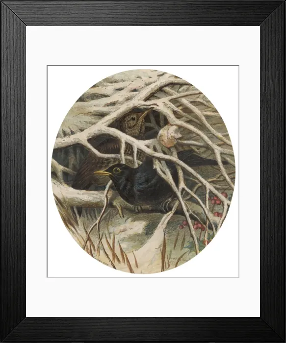 Framed Print : Card; Birds on Bough Framed Print : Card; Birds on Bough