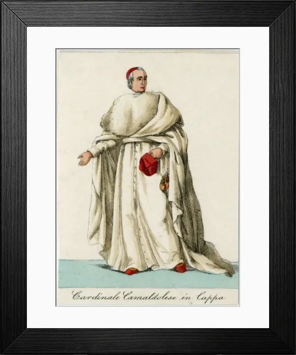Framed Print : Camaldolese Cardinal Framed Print : Camaldolese Cardinal