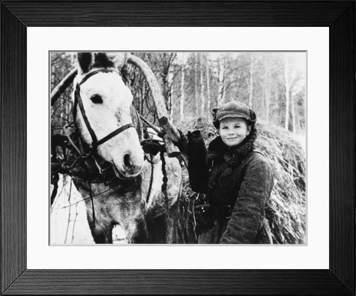 Framed Print : Resistance Smuggler Framed Print : Resistance Smuggler