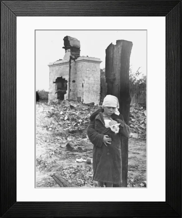 Framed Print : War Orphan and Cat Framed Print : War Orphan and Cat