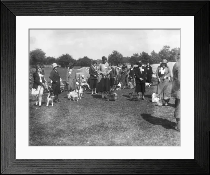 Framed Print : Regents Park Dog Show Framed Print : Regents Park Dog Show
