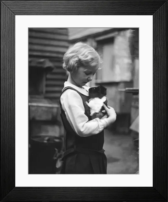 Framed Print : Girl and Pet Guinea Pig - 2 Framed Print : Girl and Pet Guinea Pig - 2