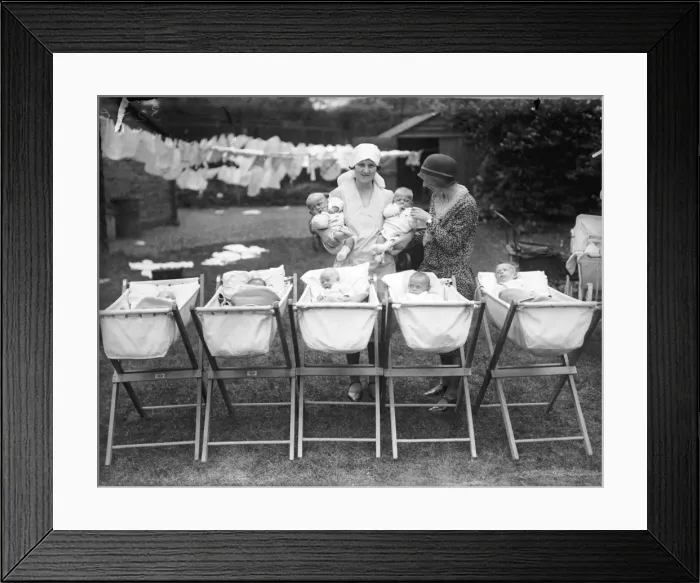 Framed Print : Adoption Society Babies Framed Print : Adoption Society Babies