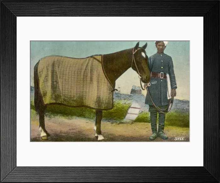 Framed Print : Indian Syce Groom C1905 Framed Print : Indian Syce Groom C1905