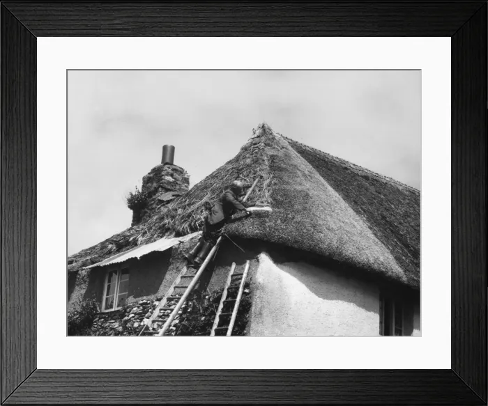Framed Print : Thatching Cottage / Devon Framed Print : Thatching Cottage / Devon