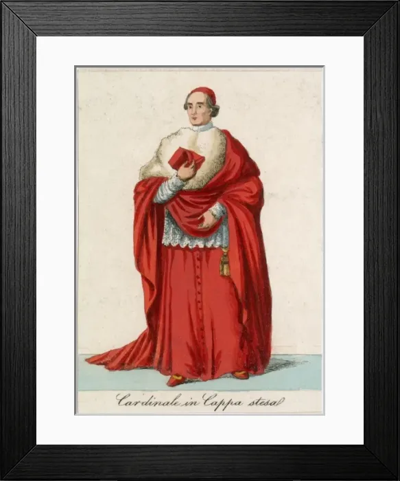 Framed Print : Cardinal Coppa Stesa Framed Print : Cardinal Coppa Stesa