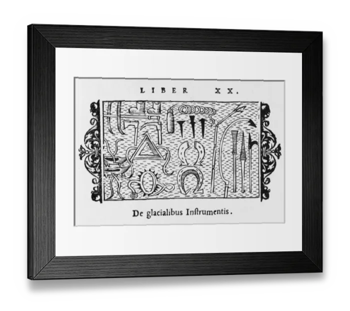 Framed Print : Coping with Ice Framed Print : Coping with Ice