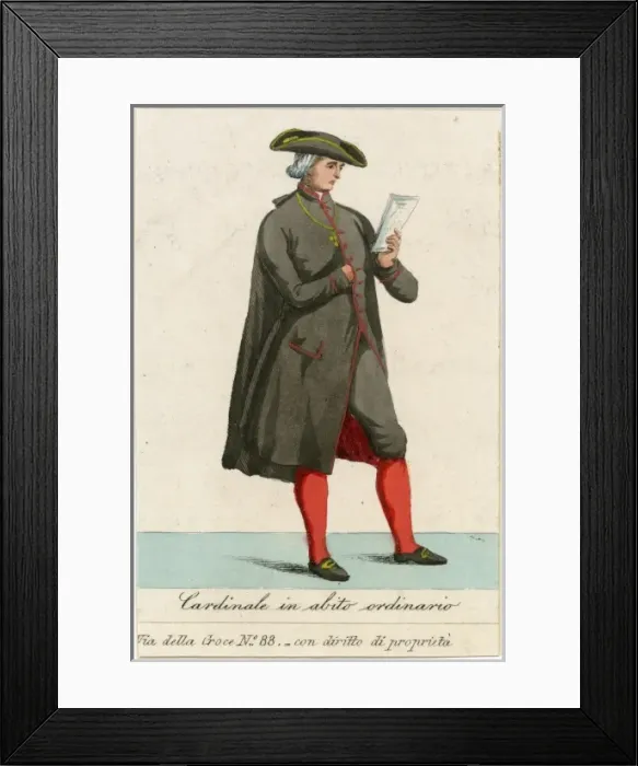 Framed Print : Cardinal in Everyday Framed Print : Cardinal in Everyday