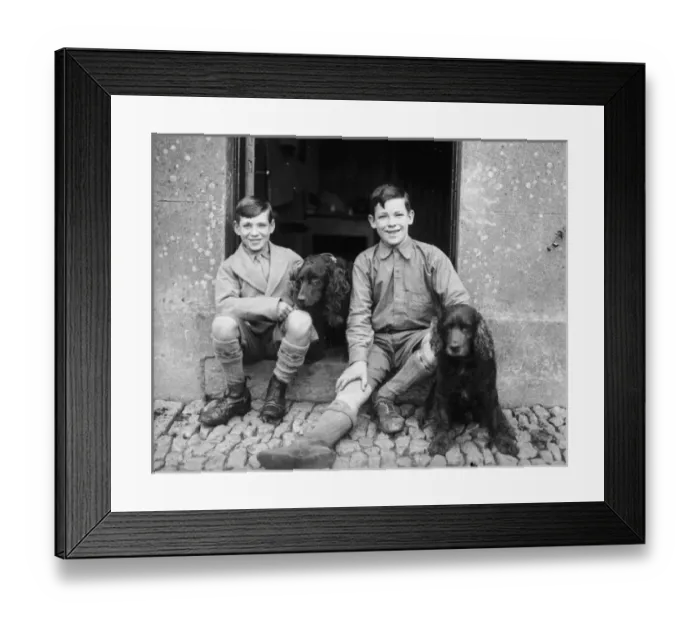 Framed Print : Boys and Spaniels Framed Print : Boys and Spaniels