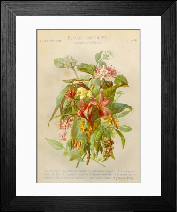 Framed Print : Toilet / Perfume / Flowers Framed Print : Toilet / Perfume / Flowers