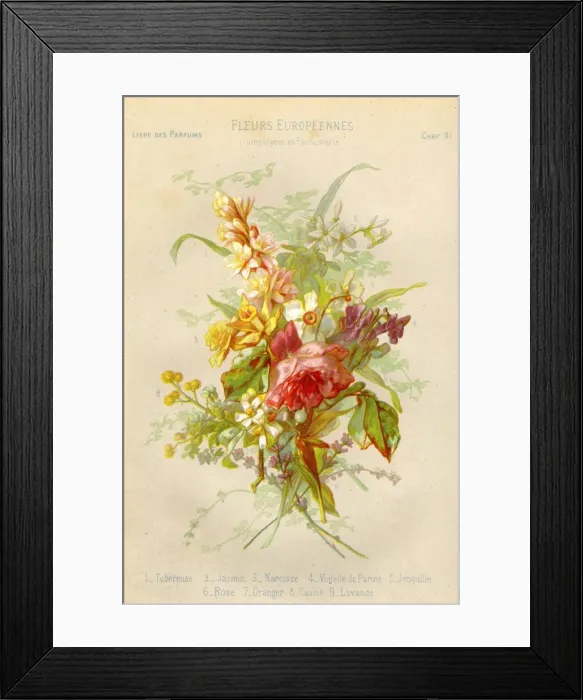 Framed Print : Toilet / Perfume / Flowers Framed Print : Toilet / Perfume / Flowers