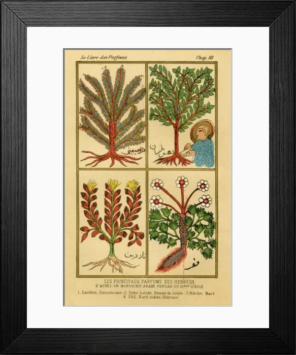 Framed Print : Toilet / Perfume 12C Ms Framed Print : Toilet / Perfume 12C Ms