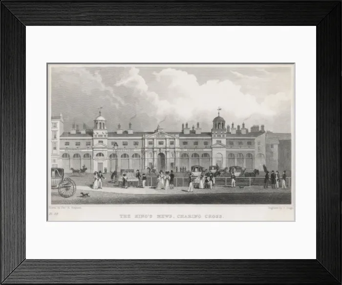 Framed Print : Trafalgar Sq / Royal Mews Framed Print : Trafalgar Sq / Royal Mews