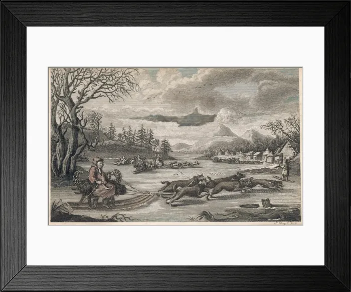 Framed Print : Dog Sleigh Kamchatka Framed Print : Dog Sleigh Kamchatka