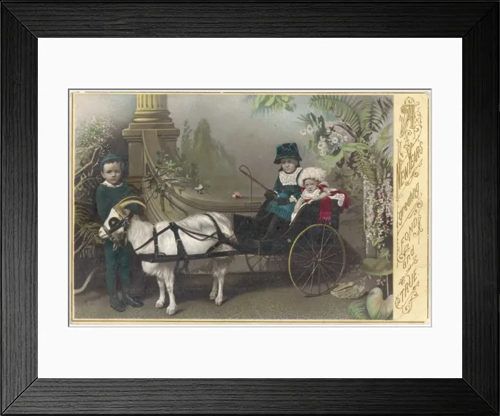 Framed Print : Two in a Goat-Cart C1880 Framed Print : Two in a Goat-Cart C1880