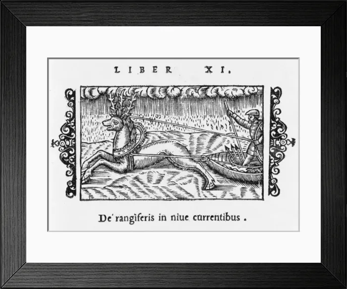 Framed Print : Reindeer Pull Snowboat Framed Print : Reindeer Pull Snowboat