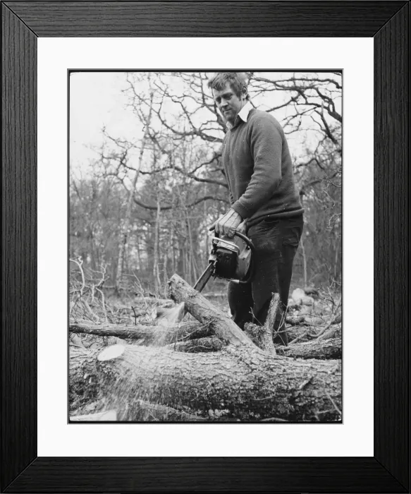 Framed Print : Using a Chainsaw Framed Print : Using a Chainsaw