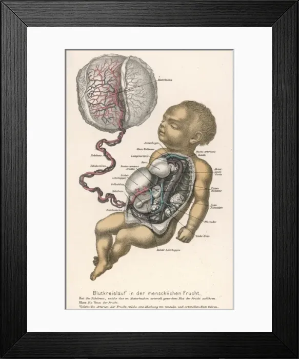 Framed Print : Child-Mother Links Framed Print : Child-Mother Links