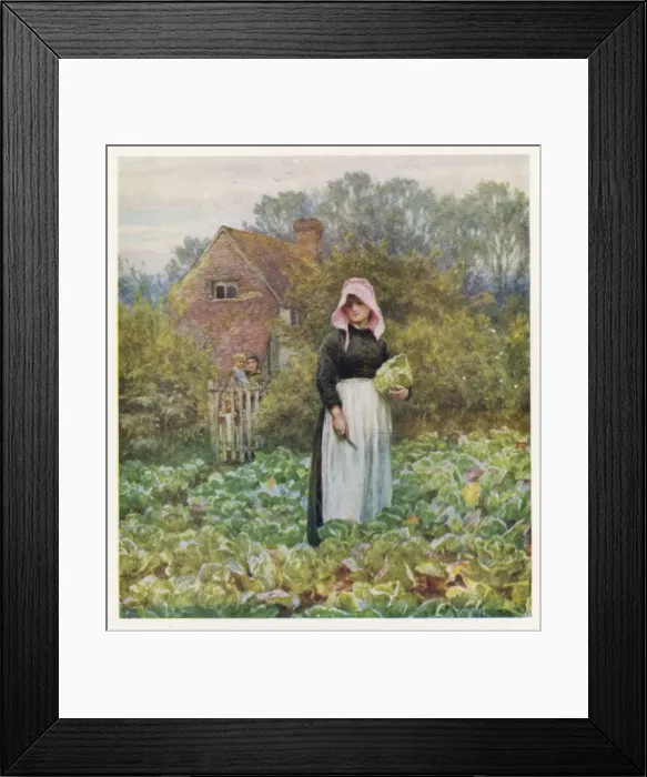 Framed Print : English Veg Garden C1900 Framed Print : English Veg Garden C1900