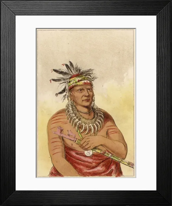 Framed Print : Racial / Pawnee Chief Framed Print : Racial / Pawnee Chief