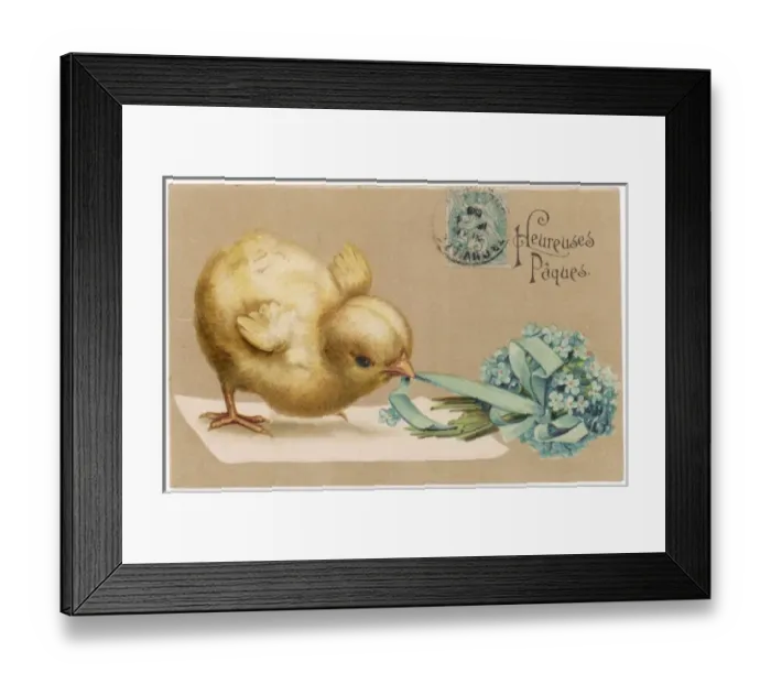 Framed Print : Chick and Posy Framed Print : Chick and Posy