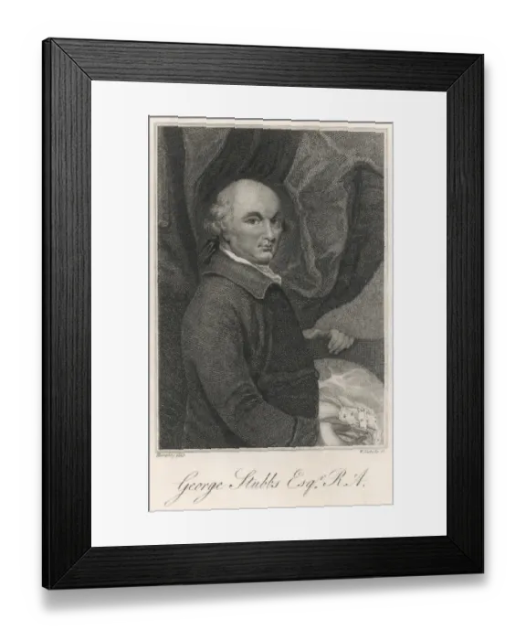 Framed Print : George Stubbs / Humphrey Framed Print : George Stubbs / Humphrey