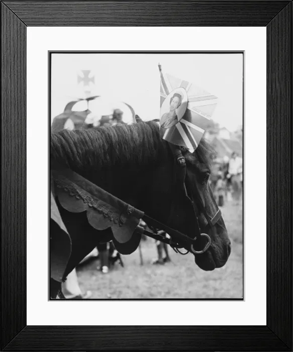 Framed Print : Jubilee Horse 1977 Framed Print : Jubilee Horse 1977