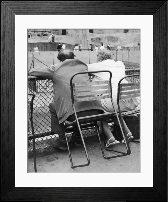 Framed Print : AT THE ZOO Framed Print : AT THE ZOO