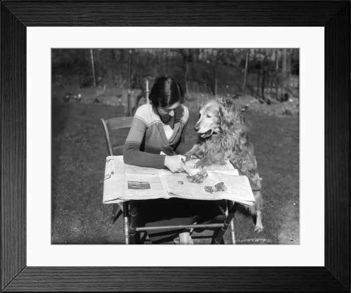 Framed Print : SPOTTING THE WINNERS Framed Print : SPOTTING THE WINNERS